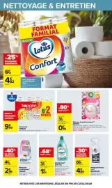 Catalogue Carrefour | Halloween page 55: Sopalin Essuie-tout €9,99, SANYTOL Déinfectant €4,16