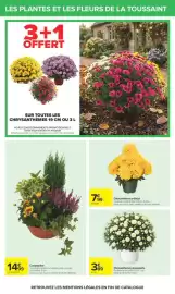Catalogue Carrefour | Halloween page 62: Chrysanthème artificiel €7,99, La composition €14,99