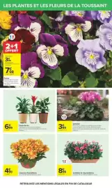 Catalogue Carrefour | Halloween page 63: Plante fleurie €6,99, Cyclamen €3,99