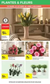 Catalogue Carrefour | Halloween page 64: Bouquet duo de roses et germinis €7,99, Bouquet de 10 roses €5,90