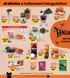Interspar akciós újság hét 42 Oldal 21
