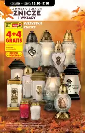 Biedronka gazetka | Codziennie niskie ceny L - oferta od 15.10 Strona 90