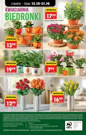 Biedronka gazetka | Codziennie niskie ceny L - oferta od 15.10 Strona 97