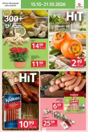Selgros gazetka tydzień 42 Strona 3: Kabanosy Klasyczne z Szynką Krakus €10,99, Chryzantema Średniokwiatowa €11,99
