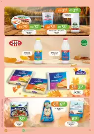 Eurocash Cash & Carry gazetka Strona 28: Ser gorgonzola igor €6,59, Mleko 3,2 % MLEKOVITA €1,19