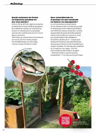 Catalogue Mr Bricolage page 64