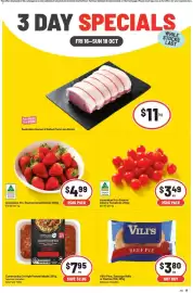 IGA catalogue Page 1