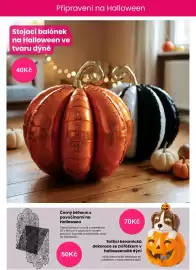 Pepco leták týden 42 Strana 7: = Připraveni na Halloween Stojací balónek na Halloween ve tvaru dýně 40Kč Černý běhoun s
