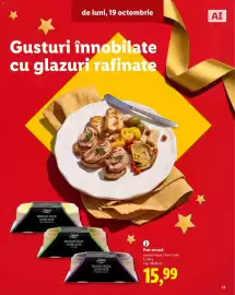 Catalog Lidl Pagină 11