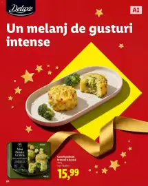 Catalog Lidl Pagină 68