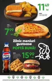 Catalog PROFI săptămâna 42 Pagină 17