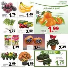 Volantino Todis Pagina 3: Susine nere Angeleño €1,79, Ciclamino €2,49