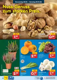 Netto Marken-Discount Prospekt Seite 48