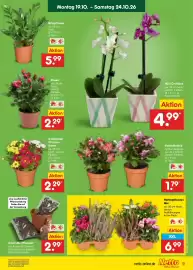 Netto Marken-Discount Prospekt Seite 9