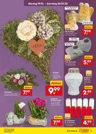 Netto Marken-Discount Prospekt Seite 13
