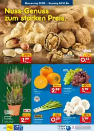 Netto Marken-Discount Prospekt Seite 46