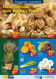 Netto Marken-Discount Prospekt Seite 48