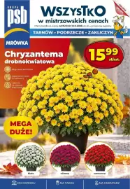 Mrówka gazetka Strona 1