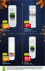 Stokrotka gazetka Strona 10