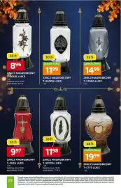Stokrotka gazetka Strona 2