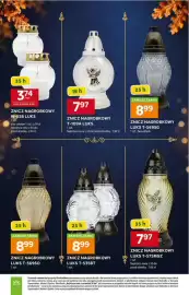 Stokrotka gazetka Strona 3