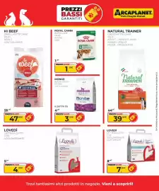 Volantino Arcaplanet Pagina 5: Lovedì lettiera gatto agglomerante €4,99, Monge busta gatto tutti i gusti €3,49