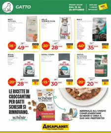 Volantino Arcaplanet Pagina 6: Royal Canin Crocchette Gatto Urinary Care €30,59