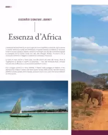 Volantino Francorosso Pagina 52