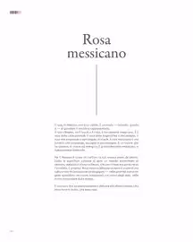Volantino Francorosso Pagina 62