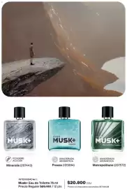 Catálogo Avon Página 102