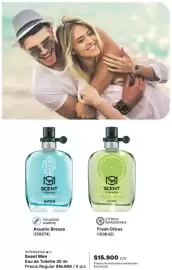 Catálogo Avon Página 103