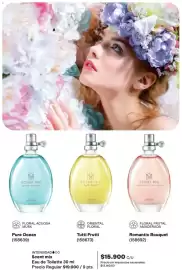 Catálogo Avon Página 84