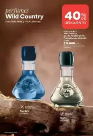 Catálogo Avon Página 98