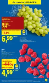 Lidl gazetka Strona 11: Maliny €4,99