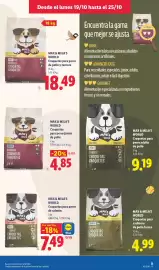 Catálogo Lidl semana 43 Página 29