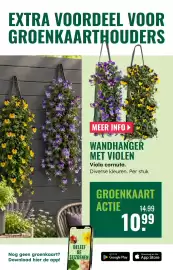 GroenRijk folder week 42 Pagina 11: Wandhanger met violen viola cornuta €10,99