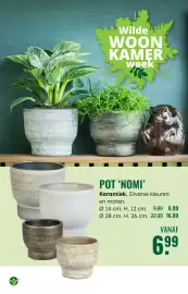 GroenRijk folder week 42 Pagina 6: Pot nomi Keramiek €6,99