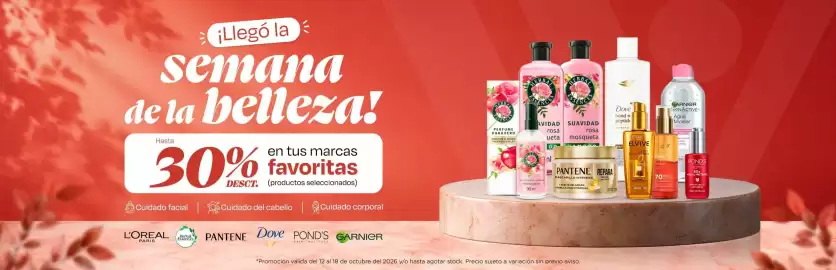 Catálogo Wong Página 15