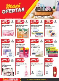 Catálogo Supermercados Comodin semana 42 Página 19