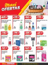 Catálogo Supermercados Comodin semana 42 Página 21