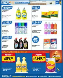 Catálogo Supermercados Damesco semana 42 Página 14