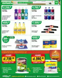 Catálogo Supermercados Damesco semana 42 Página 13