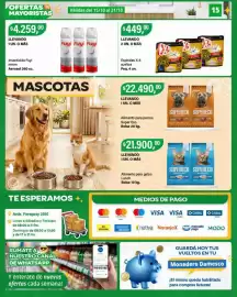 Catálogo Supermercados Damesco semana 42 Página 15
