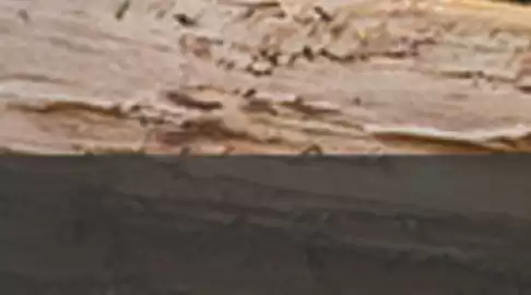 Catálogo Marcimex Página 10