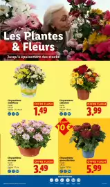Catalogue Lidl semaine 43 page 32