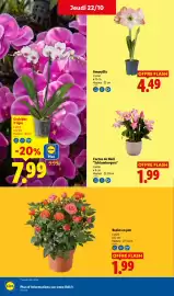 Catalogue Lidl semaine 43 page 35