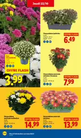 Catalogue Lidl semaine 43 page 33