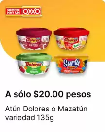 Catálogo OXXO Página 12