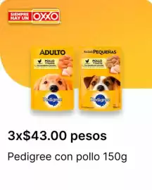 Catálogo OXXO Página 14