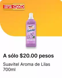Catálogo OXXO Página 16